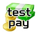 Testzahlung